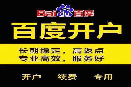 案例分享：SEM推广助力电商快速崛起