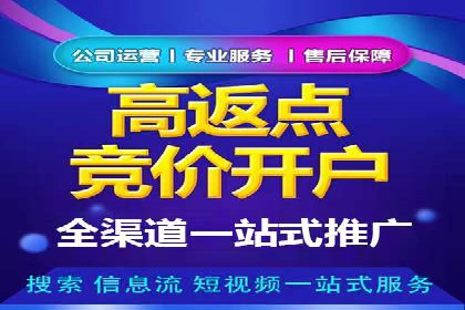 百度竞价代理实战：案例剖析与优化策略